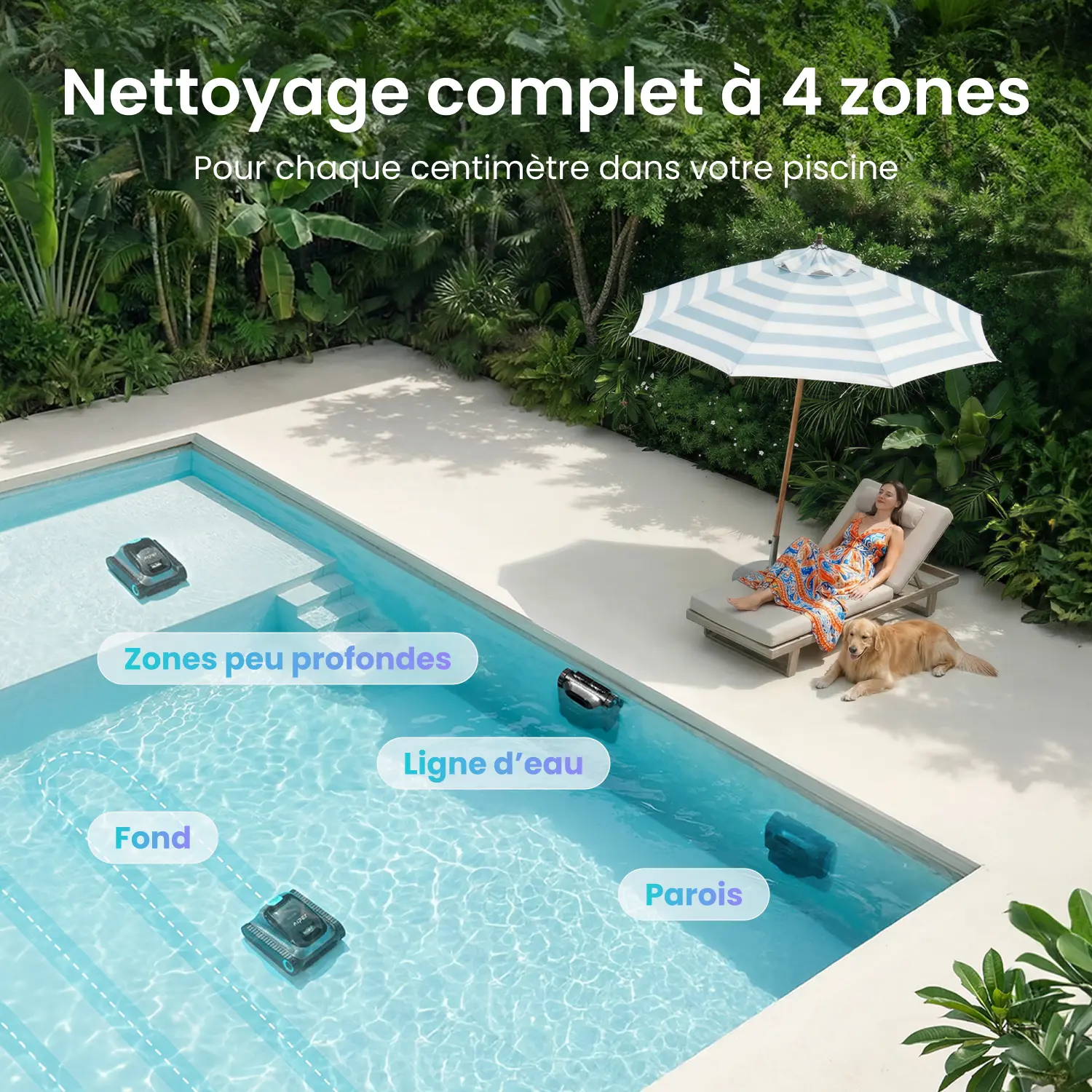 Scuba S1 (Mise à jour OTA 2026)